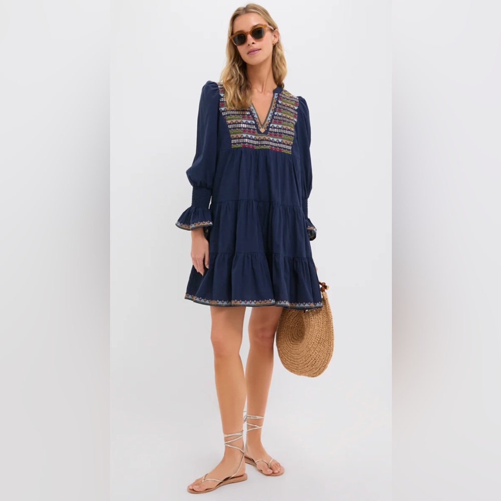 Tuckernuck Navy Embroidered Sequin Kenzo Dress
